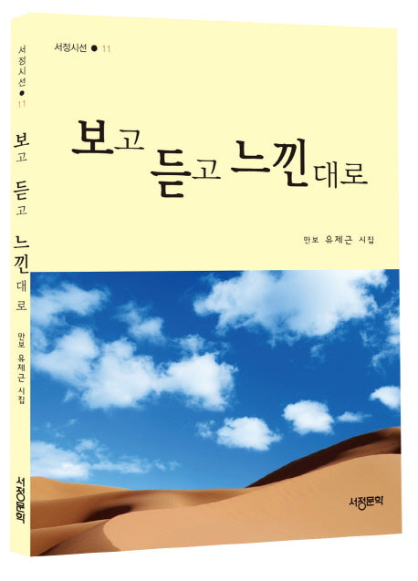 보고 듣고 느낀대로(서정시선 11)