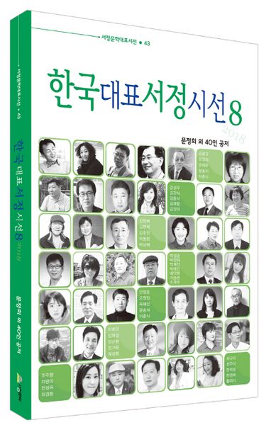한국대표서정시선 8(서정문학대표시선 43)