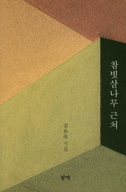 참빗살나무 근처(양장본 Hardcover)