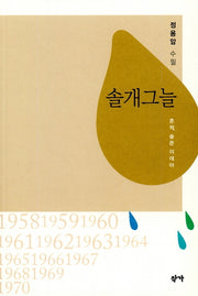 솔개그늘