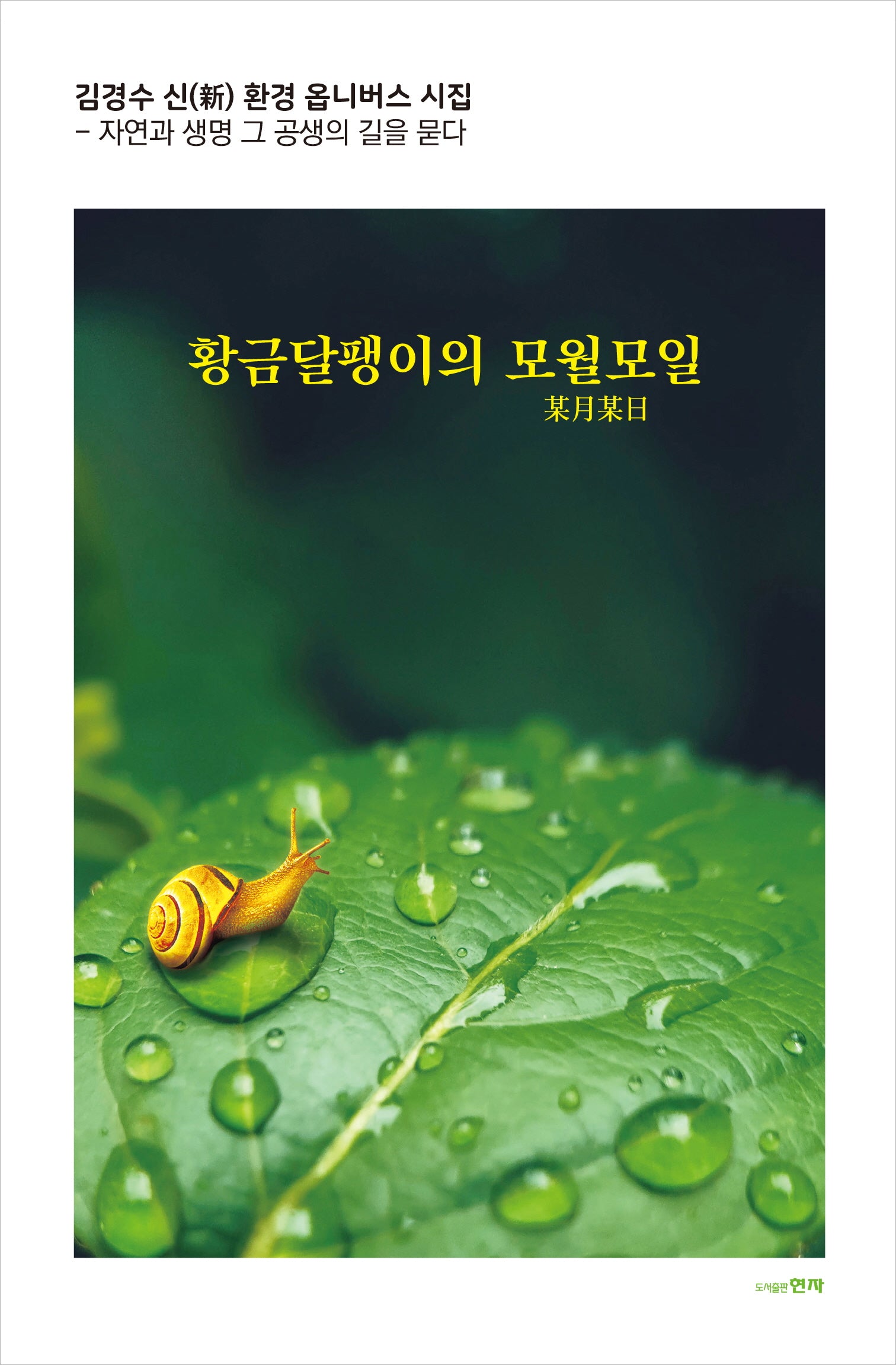 황금달팽이의 모월모일