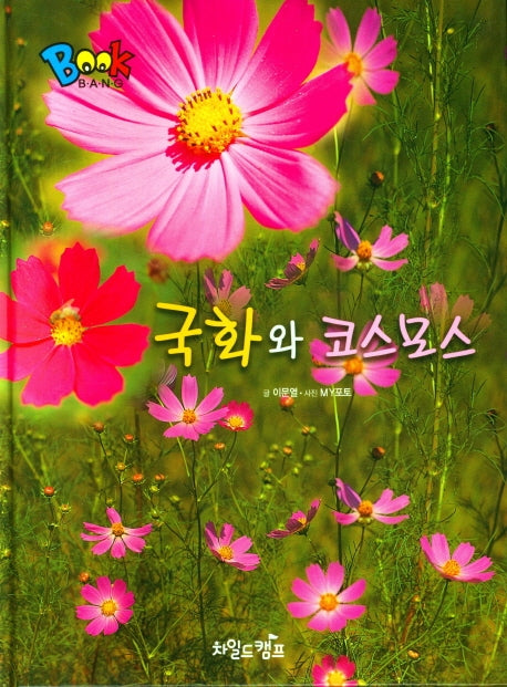 국화와 코스모스(Book Bang)(양장본 Hardcover)
