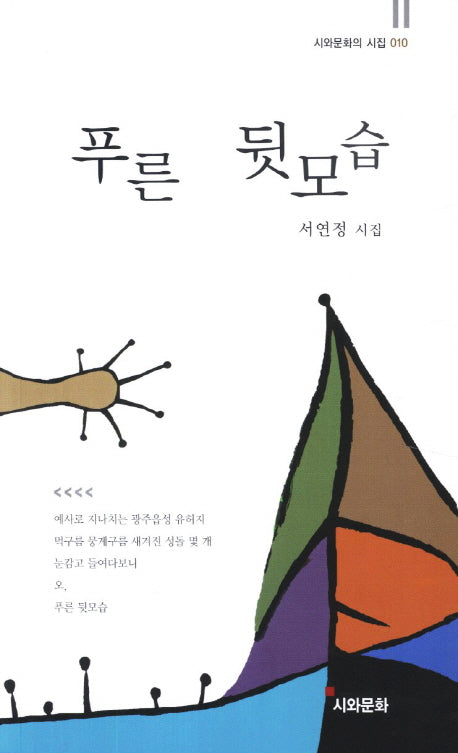 푸른 뒷모습(시와문화의 시집 10)