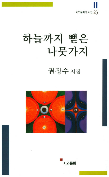 하늘까지 뻗은 나뭇가지(시와문화의 시집 23)