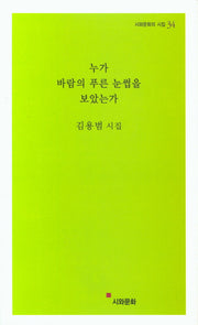 누가 바람의 푸른 눈썹을 보았는가(시와문화의 시집 34)