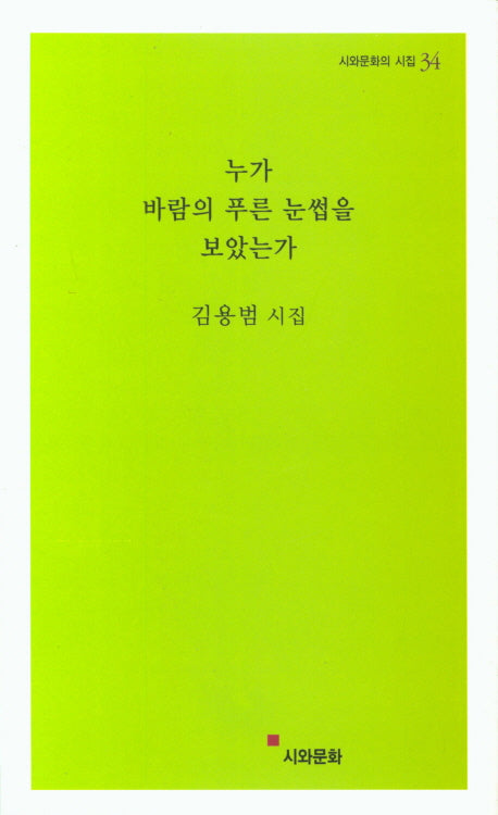 누가 바람의 푸른 눈썹을 보았는가(시와문화의 시집 34)