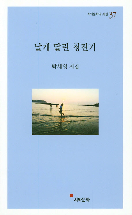 날개 달린 청진기(시와문화의 시집 37)