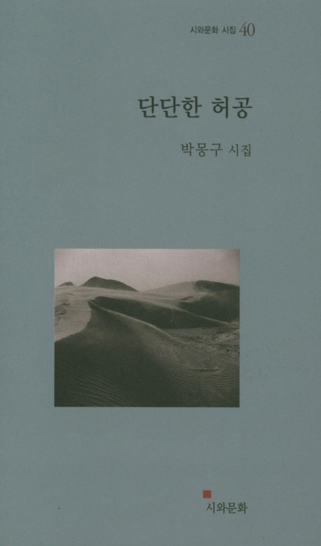 단단한 허공(시와문화 시집 40)