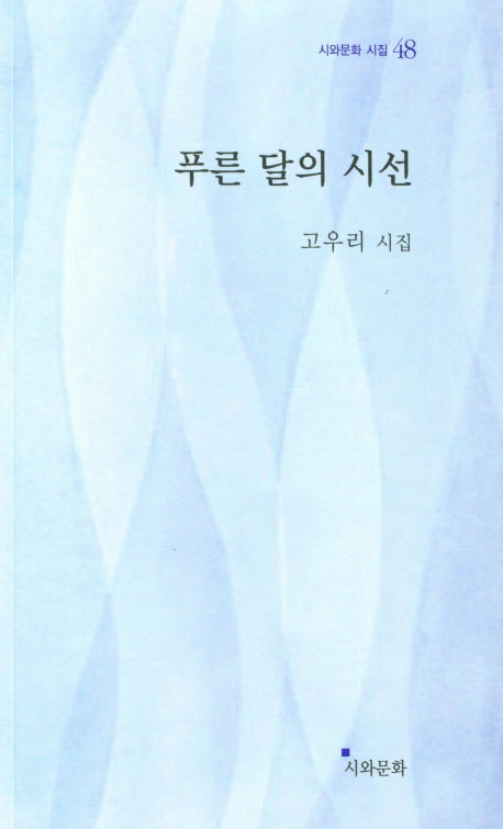 푸른 달의 시선(시와문화 시집 48)