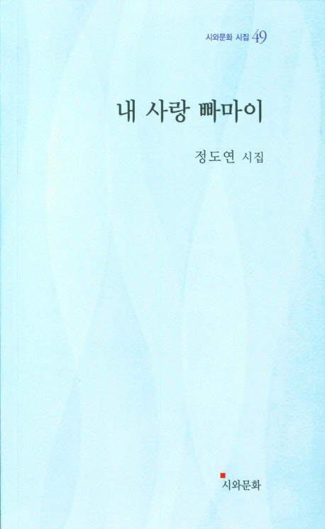 내 사랑 빠마이(시와문화 시집 49)
