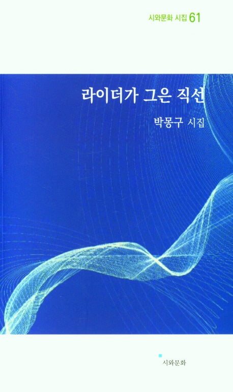라이더가 그은 직선(시와문화 시집 61)