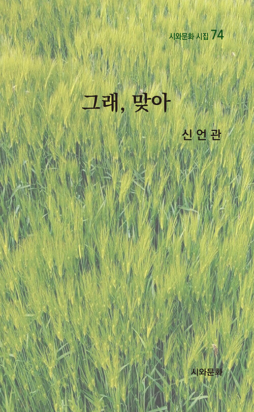 그래, 맞아(시와문화 시집 74)