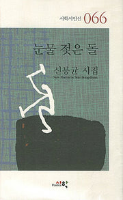 눈물 젖은 돌(시학시인선 66)