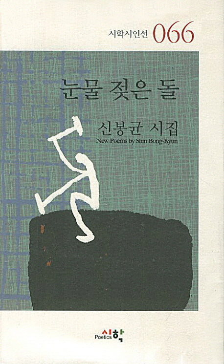 눈물 젖은 돌(시학시인선 66)