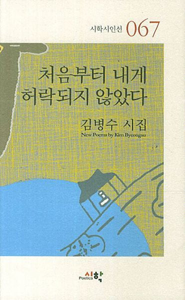 처음부터 내게 허락되지 않았다(시학시인선 67)