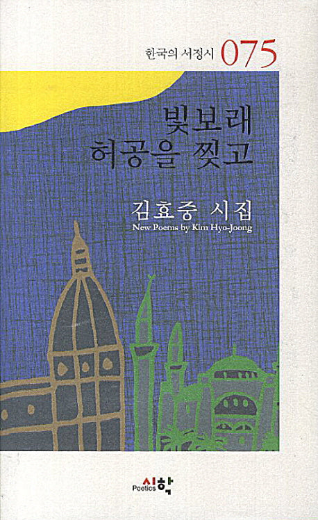 빛보래 허공을 찢고(한국의 서정시 75)