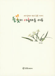 들꽃이 아름다운 이유