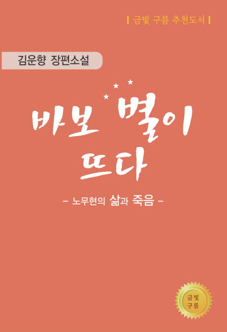 바보 별이 뜨다: 노무현의 삶과 죽음