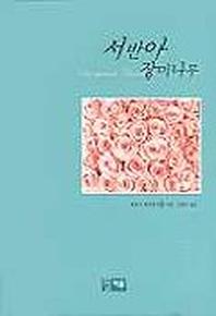 서반아 장미나무