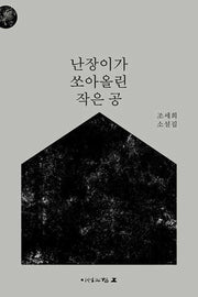 난장이가 쏘아올린 작은 공(개정판)