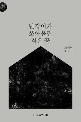 난장이가 쏘아올린 작은 공(개정판)