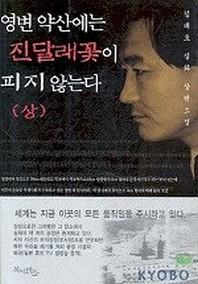 영변 약산에는 진달래꽃이 피지 않는다(상)