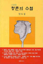 청춘의 수첩(문학21 소설선 2)
