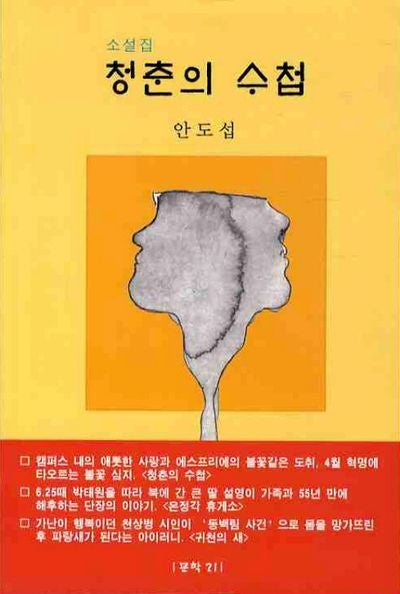 청춘의 수첩(문학21 소설선 2)