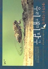 우리 매미 탐구(매미박사 이영준의)