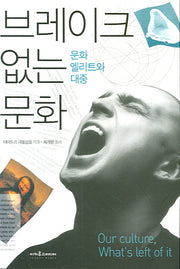브레이크 없는 문화