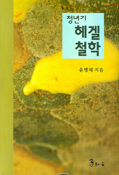 청년기 헤겔철학(양장본 Hardcover)