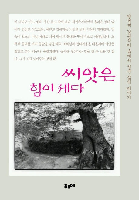 씨앗은 힘이 세다