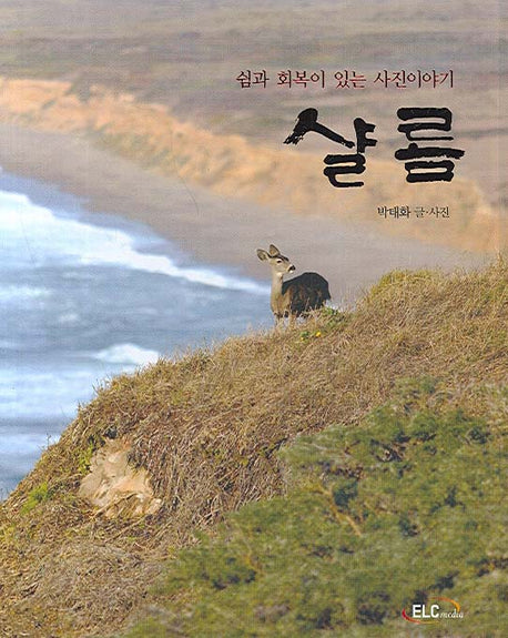 샬롬