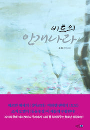 비트의 안개나라