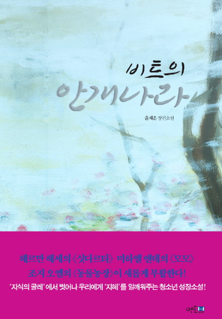 비트의 안개나라