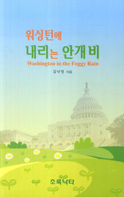 워싱턴에 내리는 안개비