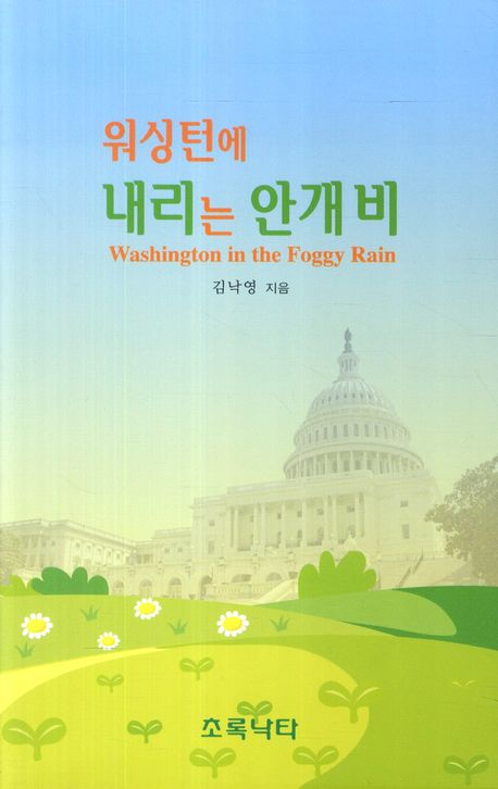 워싱턴에 내리는 안개비