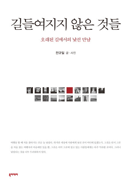 길들여지지 않은 것들(반양장)