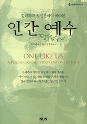 인간 예수(심리학과 정신분석이 바라본)(정신분석시리즈 3)