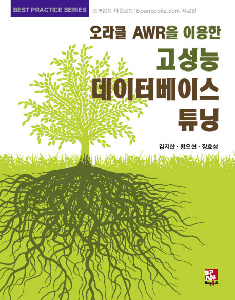 고성능 데이터베이스 튜닝(오라클 AWR을 이용한)