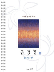 금강경(대)(스프링)