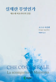 실재란 무엇인가: 에토레 마요라나의 실종(양장본 Hardcover)