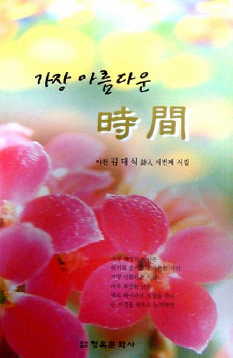가장 아름다운 시간(청옥문선 12)