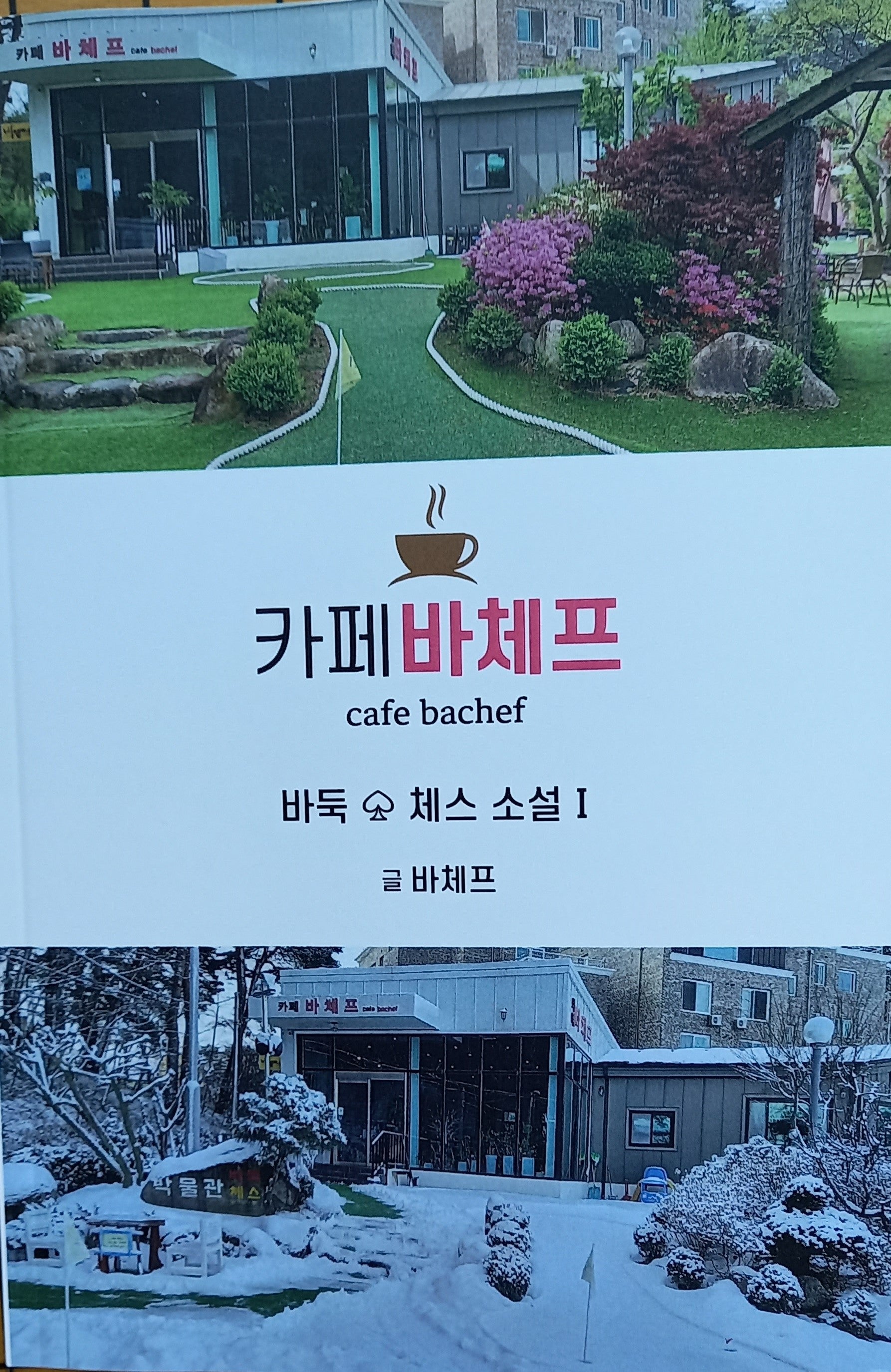 카페바체프 바둑 체스 소설 1
