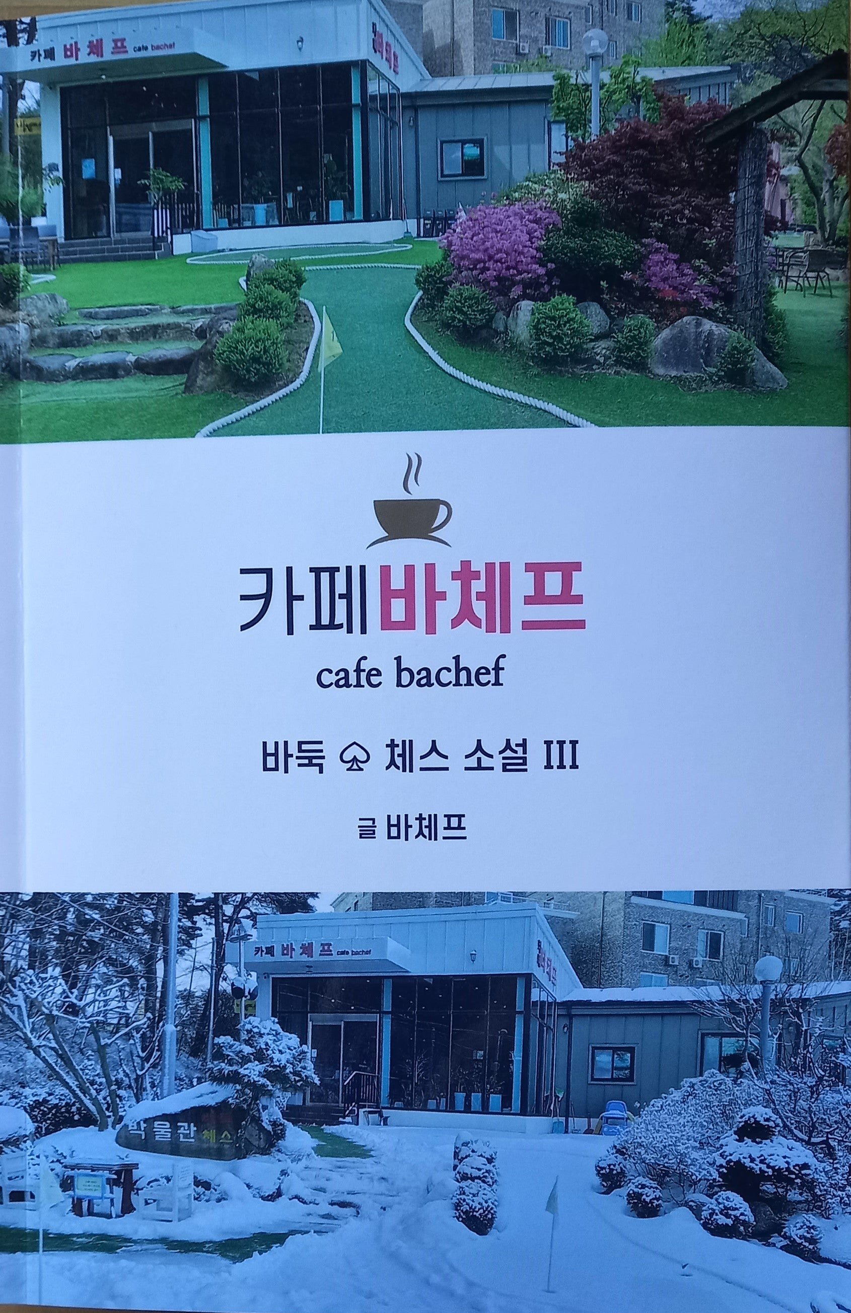 카페바체프 바둑 체스 소설 3