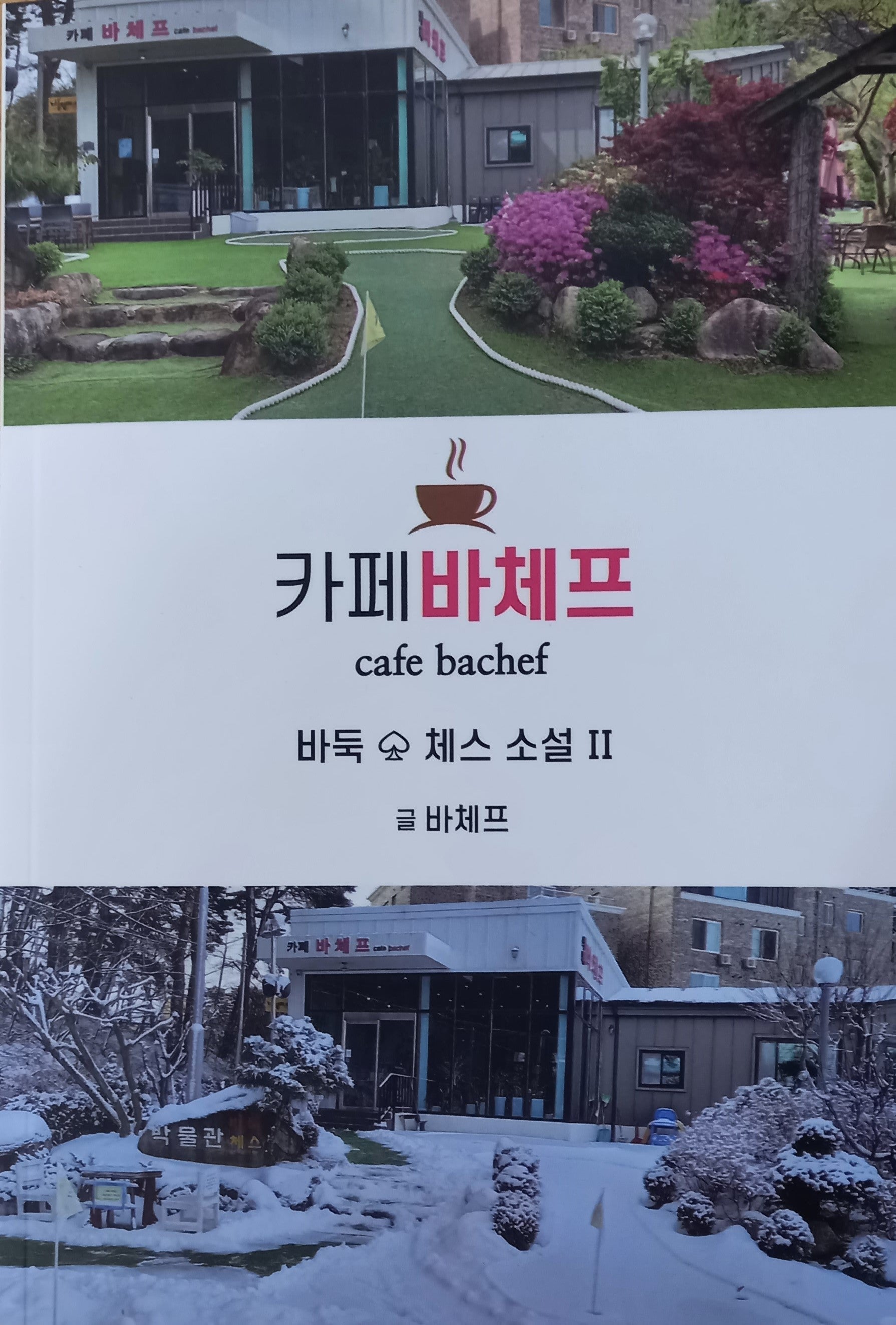 카페바체프 바둑 체스 소설 2