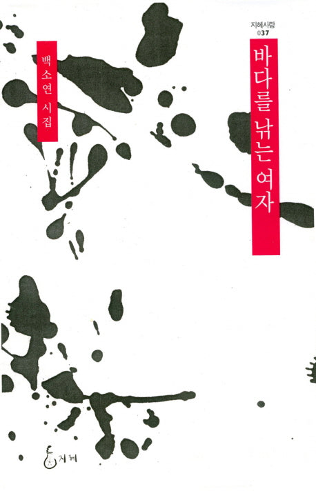 바다를 낚는 여자(지혜사랑 37)(양장본 HardCover)