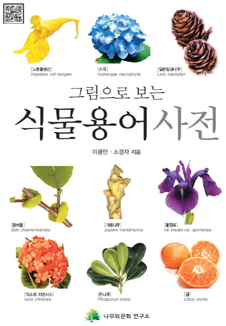 식물용어사전(그림으로 보는)
