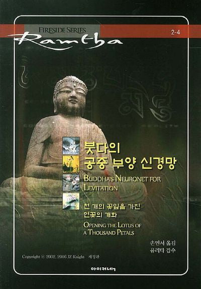 붓다의 공중 부양 신경망(개정판)(Fireside Series 2-4)