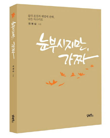 눈부시지만 가짜